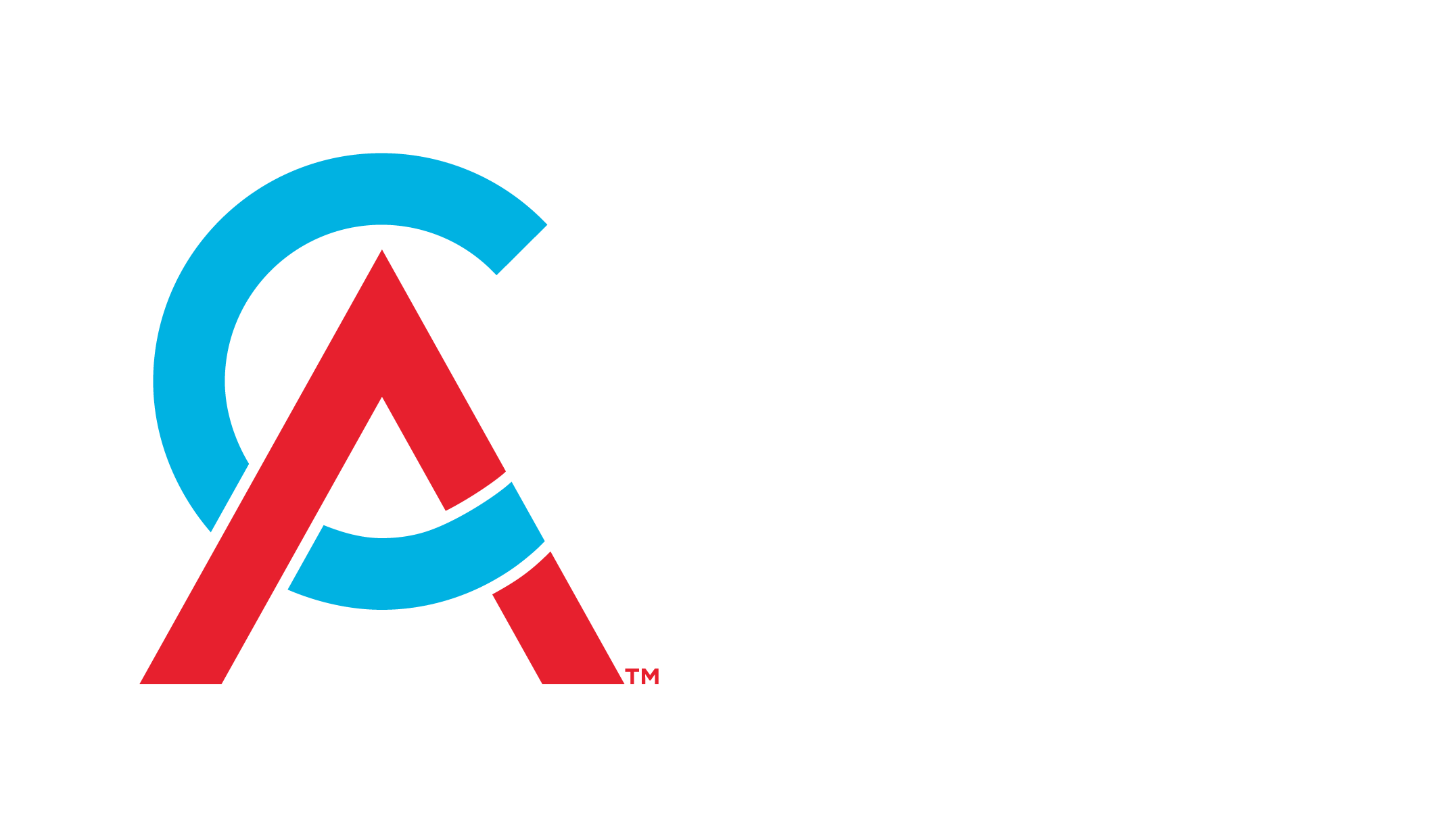 Chartered Accountants Australia and New Zealand